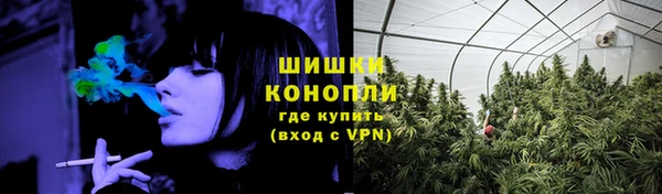 прущая мука Богданович