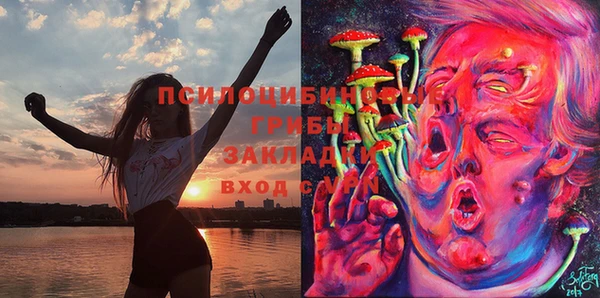 крисы Богородск