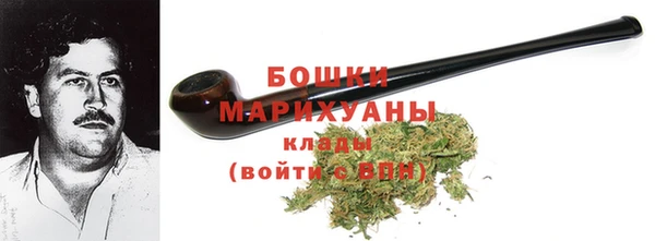 крисы Богородск