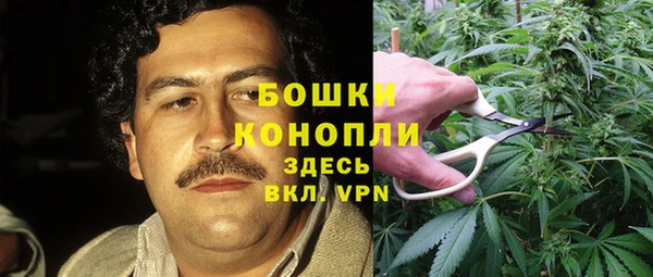 мяу мяу мука Бородино