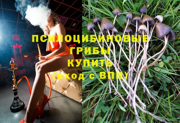 твердый Бронницы