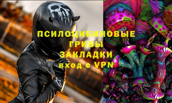 крисы Богородск