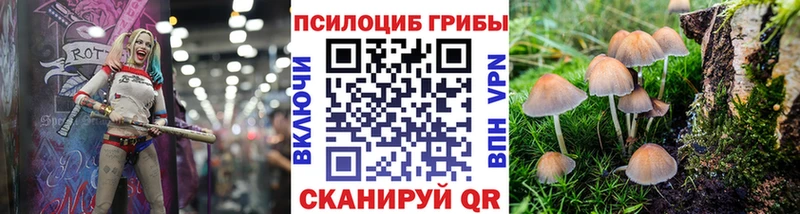 Псилоцибиновые грибы ЛСД  ссылка на мегу как войти  Калязин 